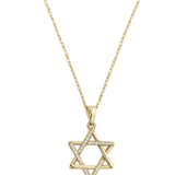 Pave/Solid Star of David Necklace