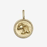 Zodiac Aquarius