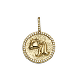 Zodiac Aquarius