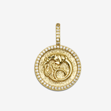 Zodiac Capricorn