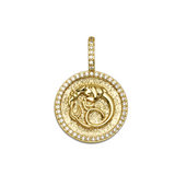 Zodiac Capricorn