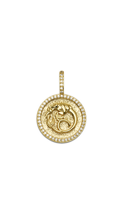 Zodiac Charms