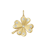 Lucky Clover Charm