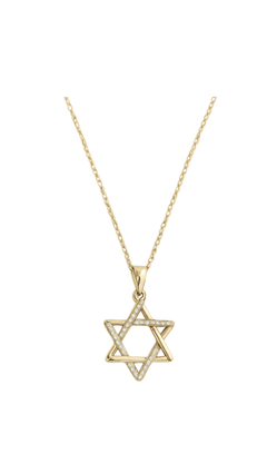 Pave/Solid Star of David Necklace